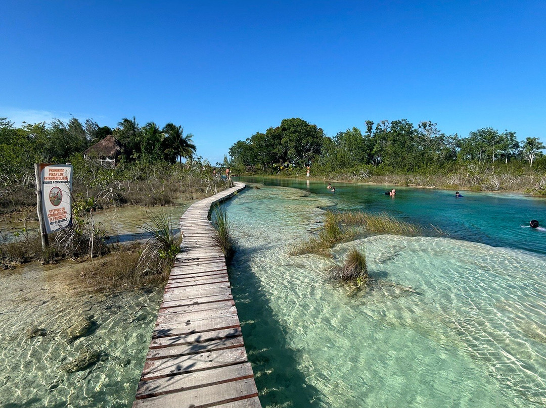 Stromatolites in Bacalar Rapids-Bacalar必去景点