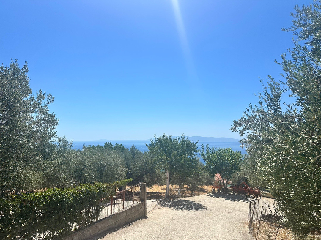 Kefalonian Honey Michalatos-Vlachata必去景点