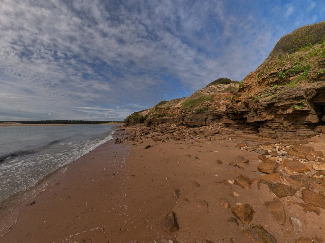 La Plage Du Veillon-Talmont Saint Hilaire必去景点