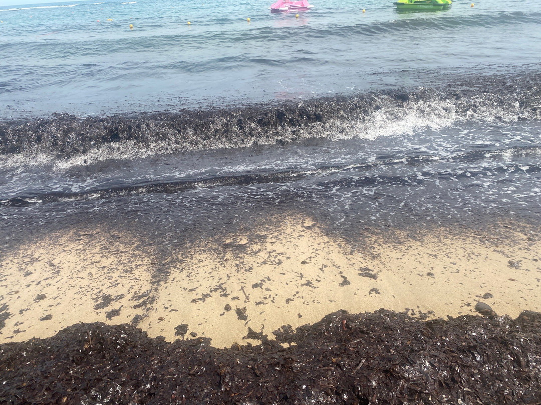 Il Villaggio 88-普拉必去景点