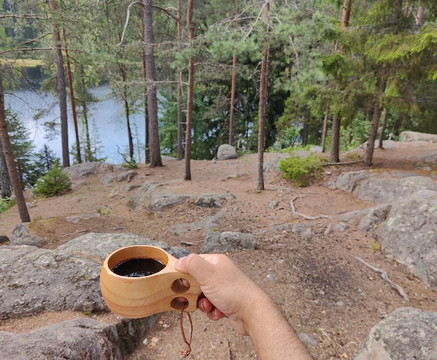 Elev8 Nature Experiences – Nuuksio Tours From Central Helsinki-赫尔辛基必去景点