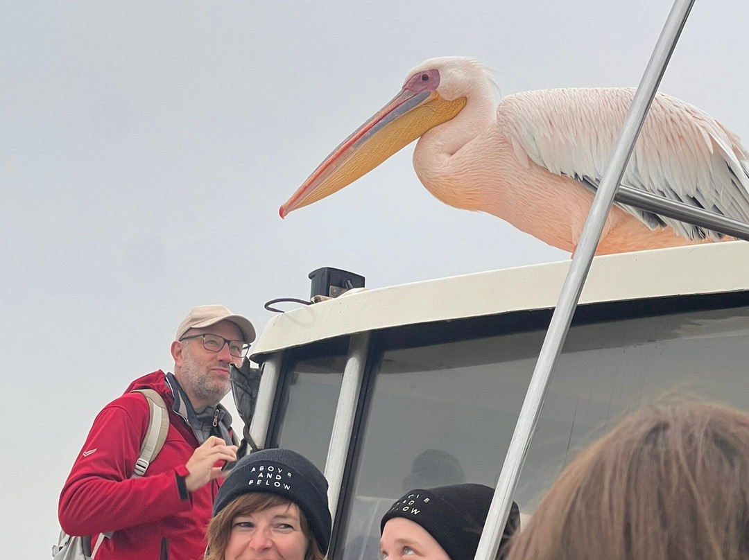 iVenture Sandwich Harbor Tours & Guides-华维斯湾必去景点