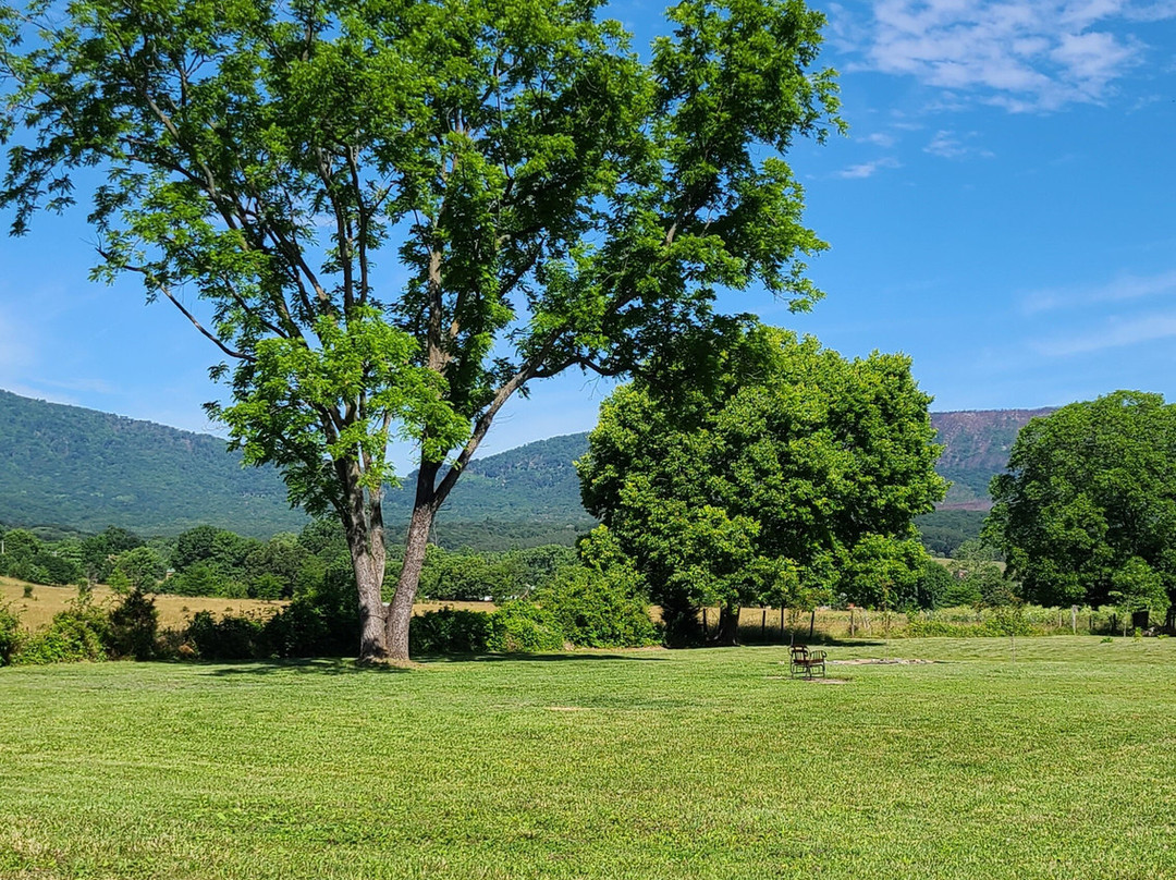 Birdsong Pleasure Garden-卢雷必去景点
