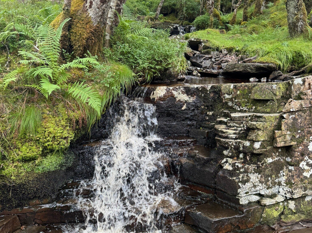 Corrieshalloch Gorge National Nature Reserve-阿勒浦必去景点