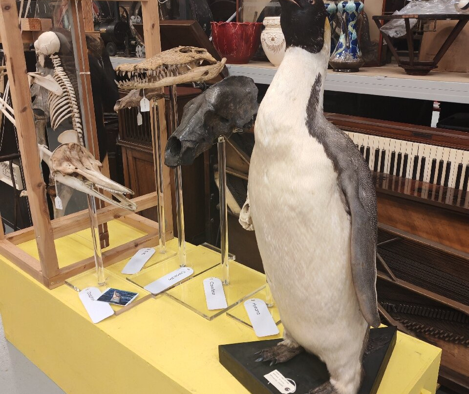 Leeds Discovery Centre-利兹必去景点