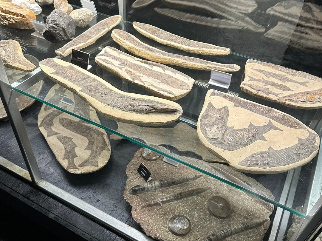 A Mina-格拉玛多必去景点