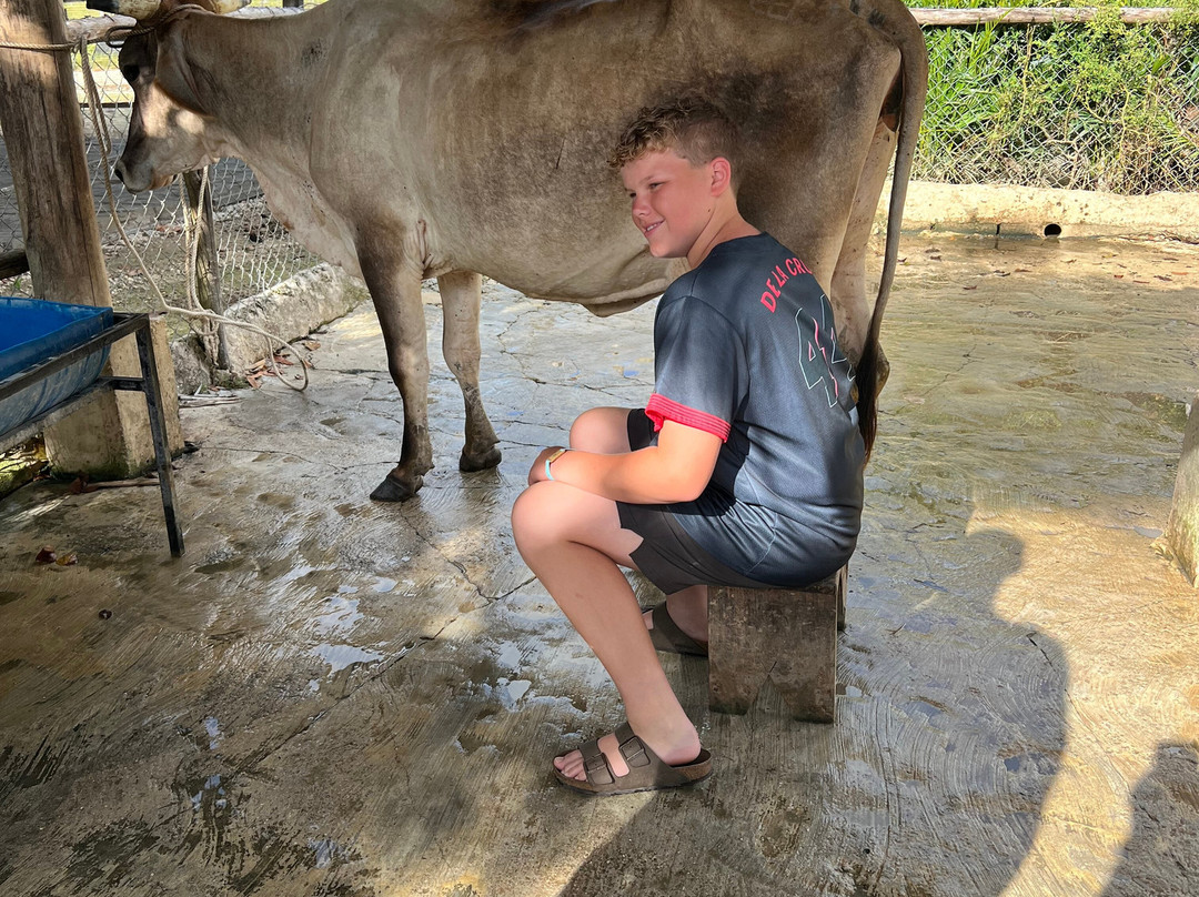 Evolution Adventure Park-蓬塔卡纳必去景点