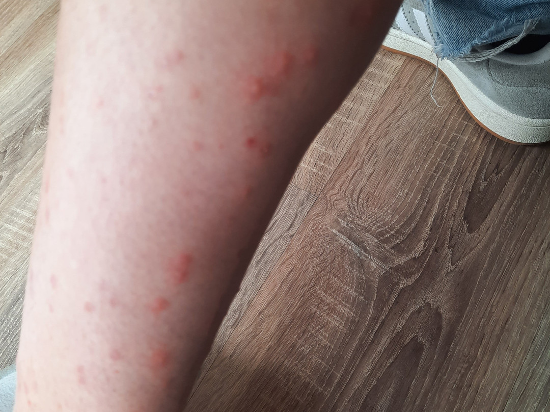 Plan d'Eau du Canada-博韦必去景点