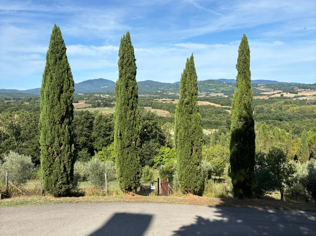 Cappella di San Galgano a Montesiepi-丘斯迪诺必去景点