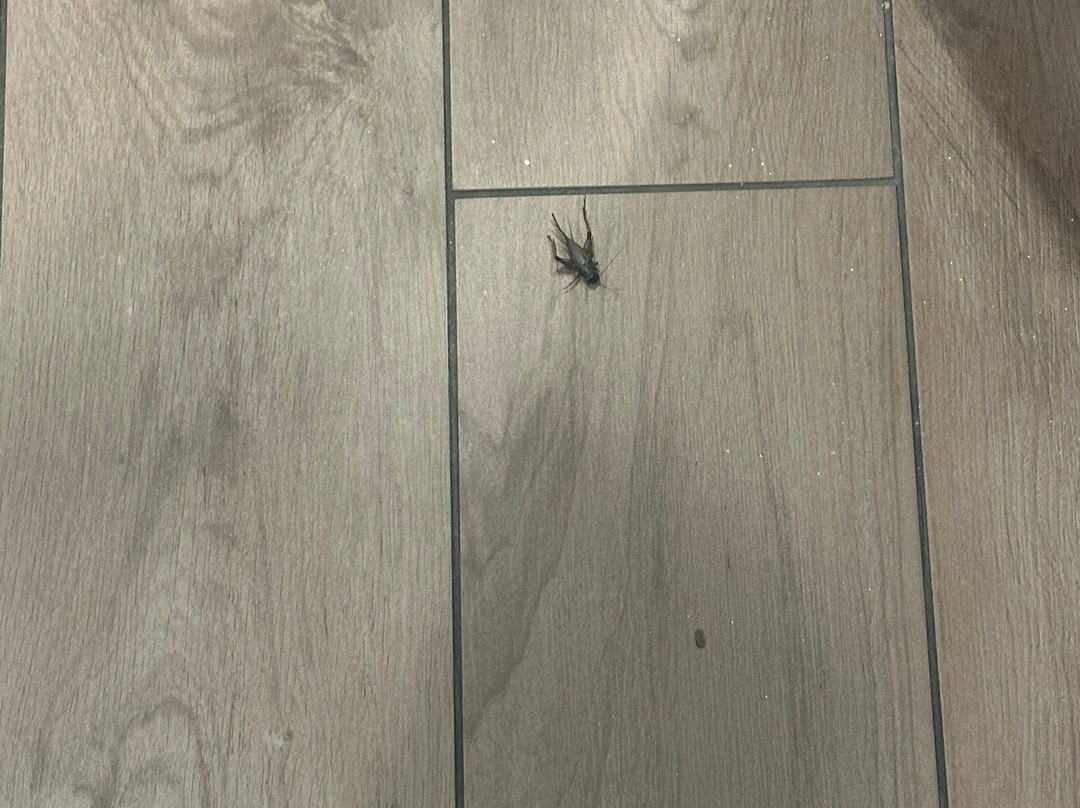 Holiday Inn Express & Suites Ardmore By IHG主图