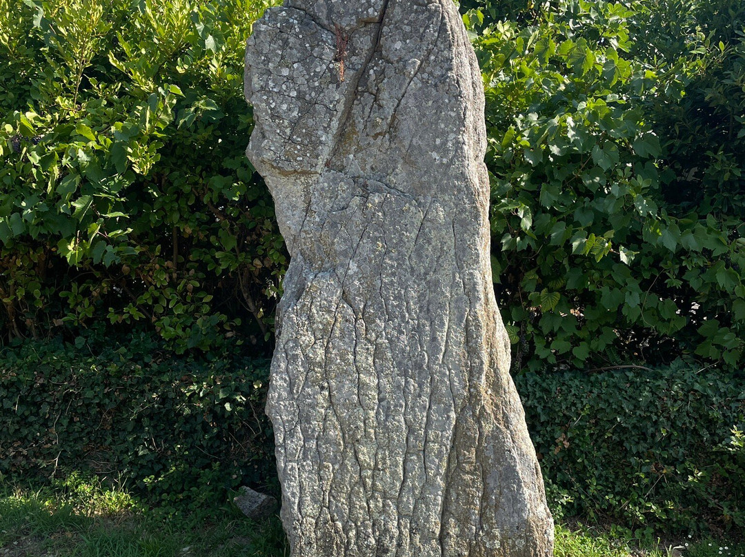 Randonnée Pédestre Sur L'ile Aux Moines-伊尔奥穆瓦内必去景点