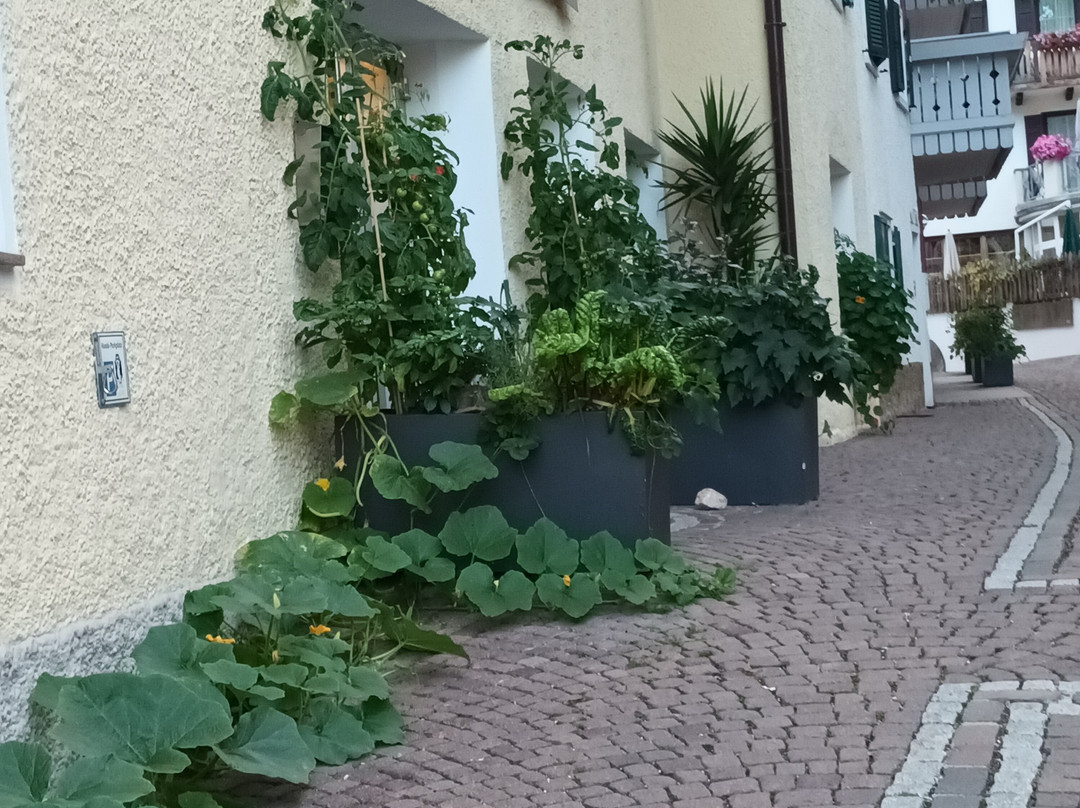 Hotel Zum Lowen-Post主图