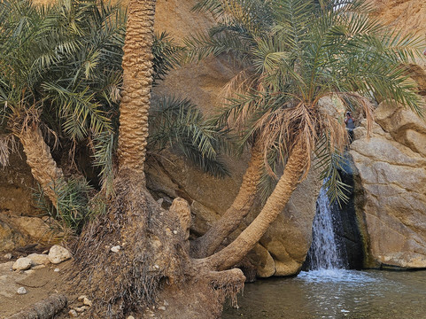 Benneji Travel-杰尔巴岛必去景点