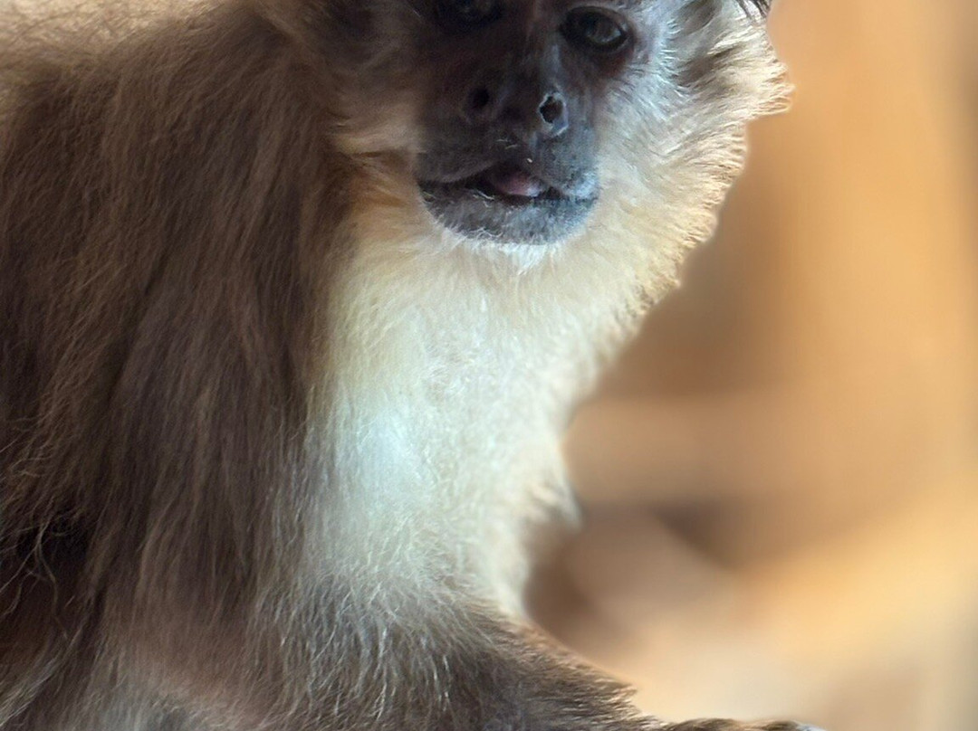 Rostock Zoo-罗斯托克必去景点