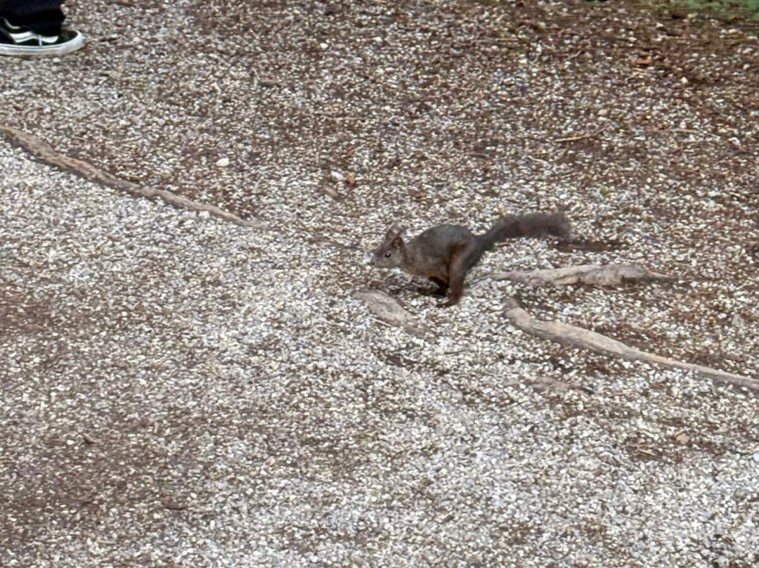 Wildsee-湖地必去景点