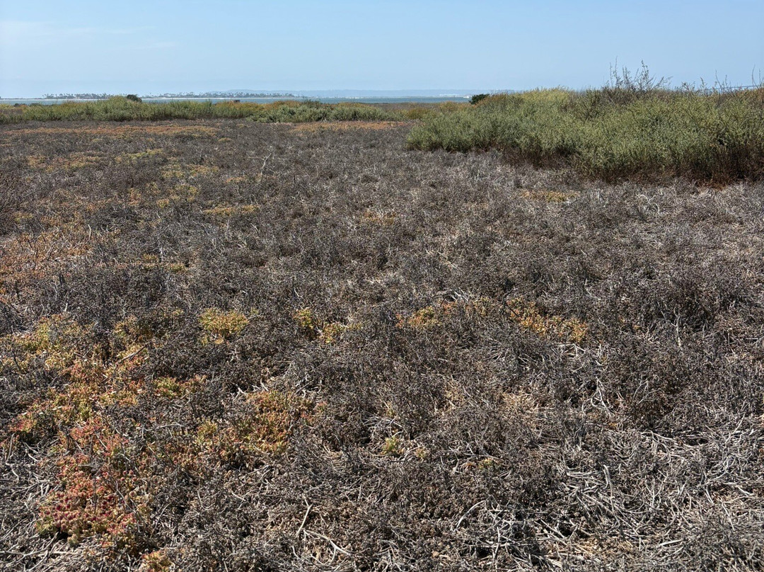 Living Coast Discovery Center-丘拉维斯塔必去景点