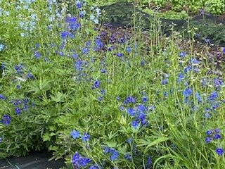 Frinklepod Farm-Arundel必去景点