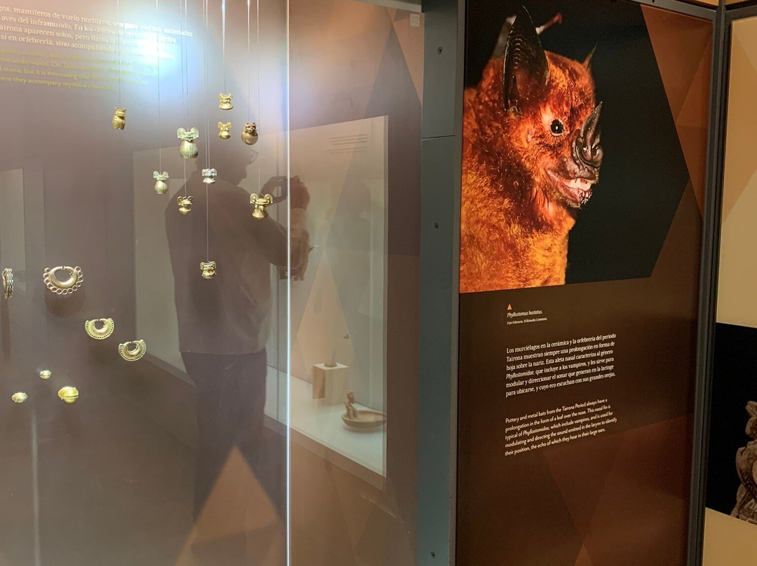 Museo del Oro Tairona - Casa de la Aduana-圣玛尔塔必去景点