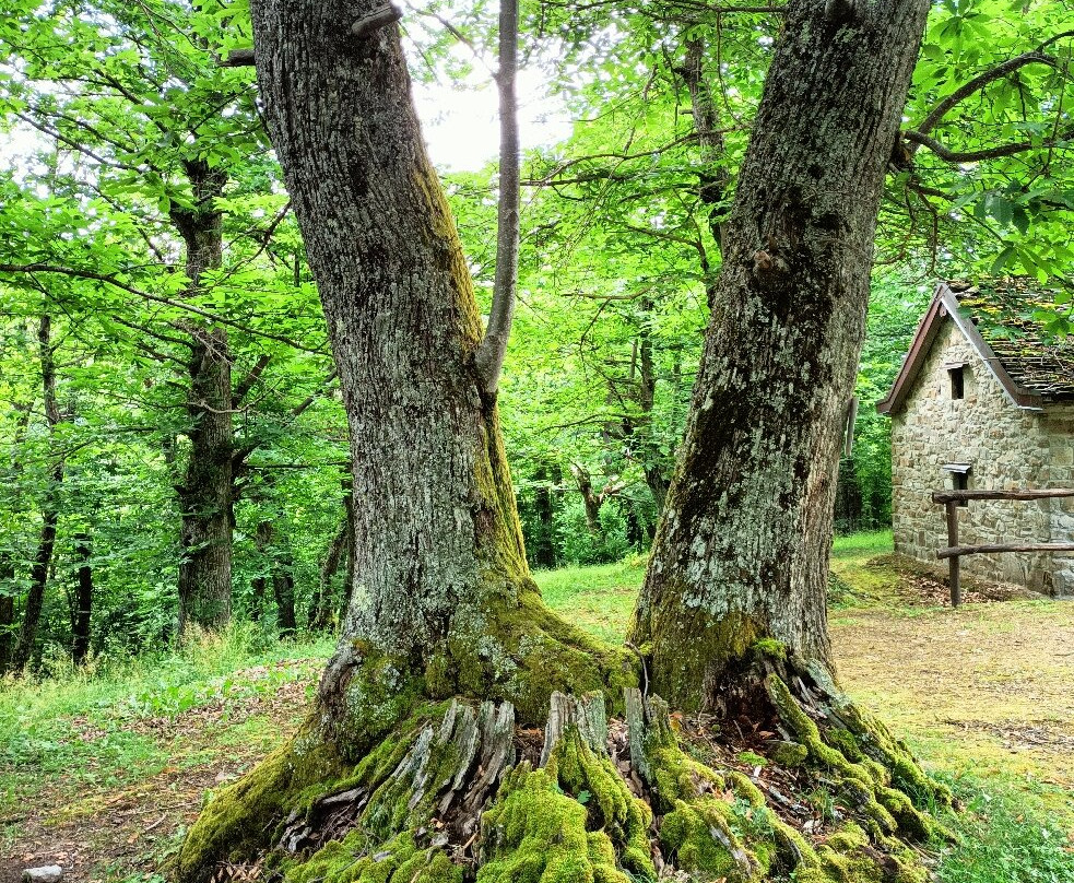 Parco Dei Cento Laghi