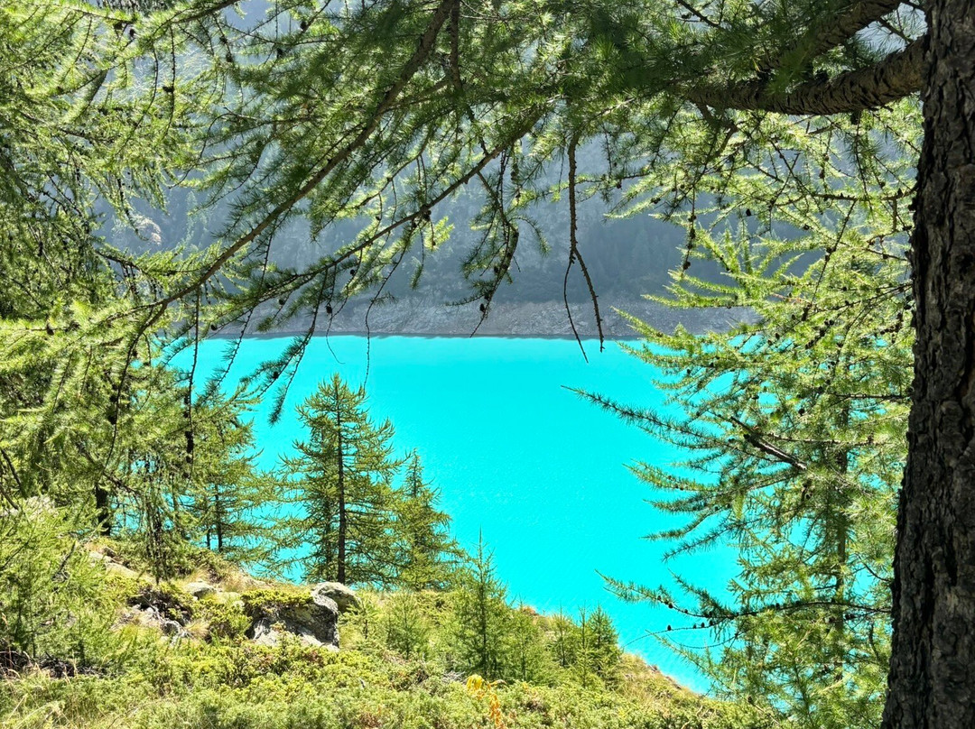 Lago di Place-Moulin-Bionaz必去景点