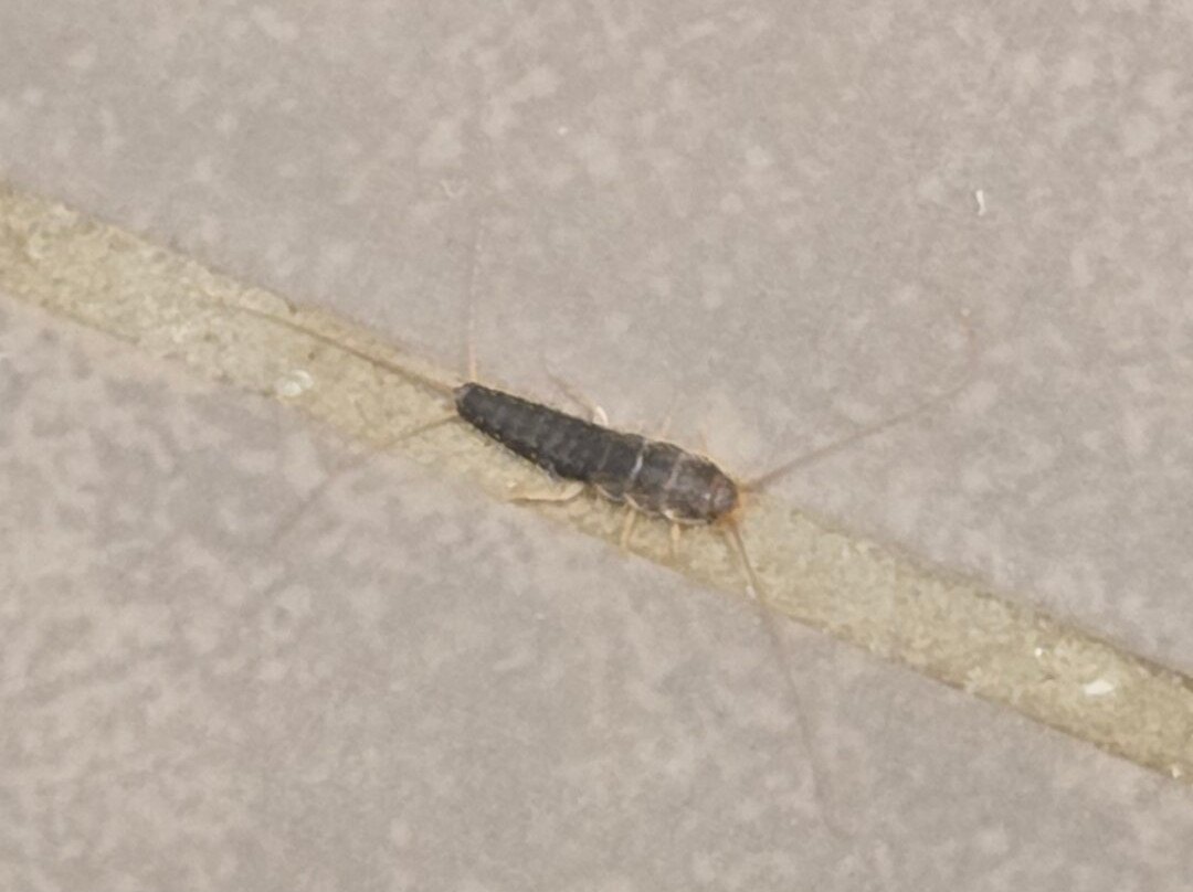 第一公寓酒店主图