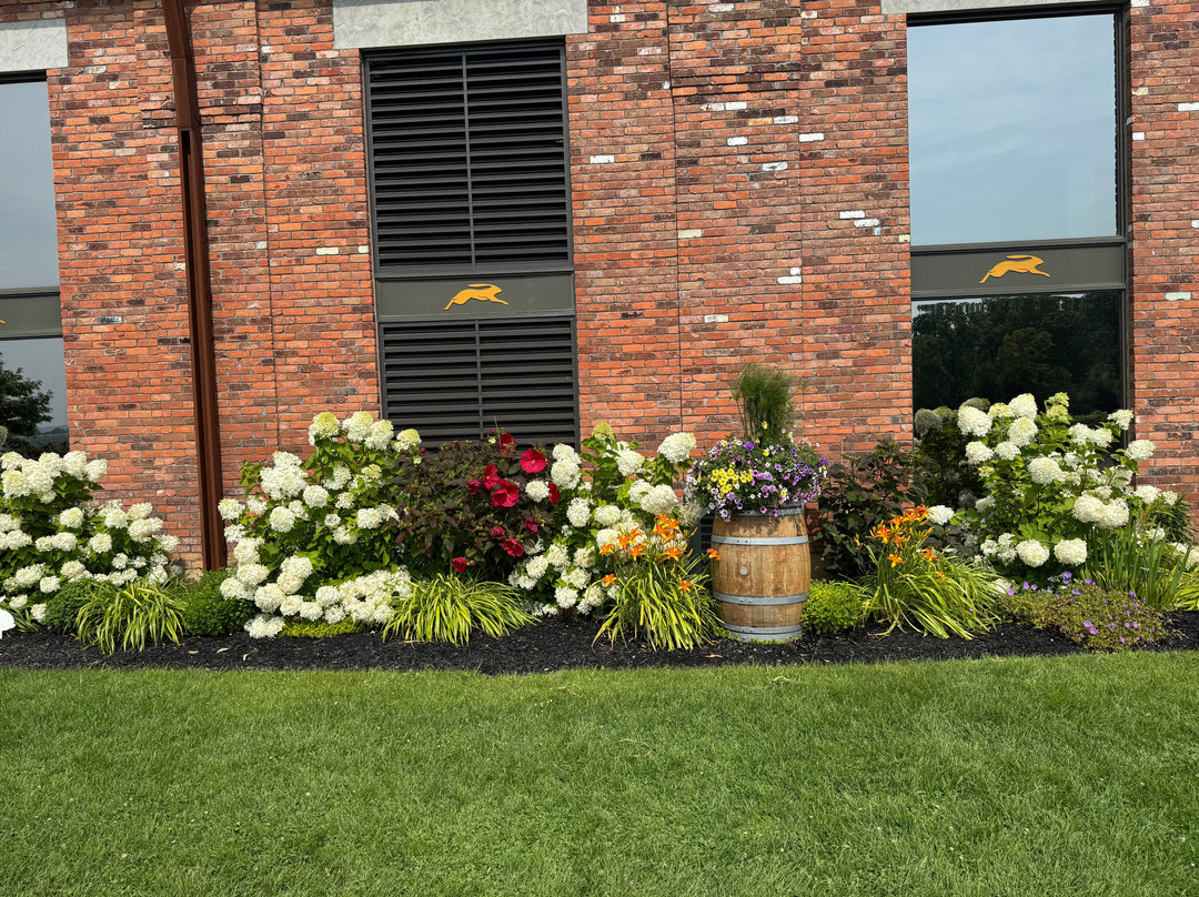 The Hare Wine Co.-滨湖尼亚加拉必去景点