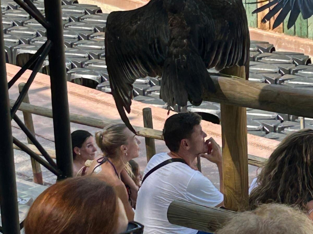 Terra Natura Benidorm-贝尼多姆必去景点