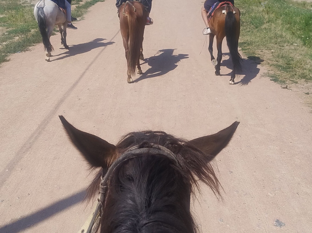 Kyrgyz Guide-比斯凯克必去景点