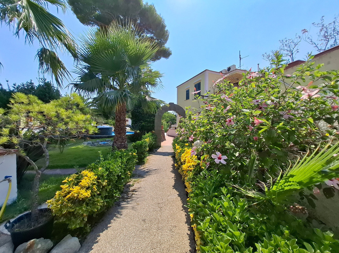 Hotel Villa Hibiscus主图