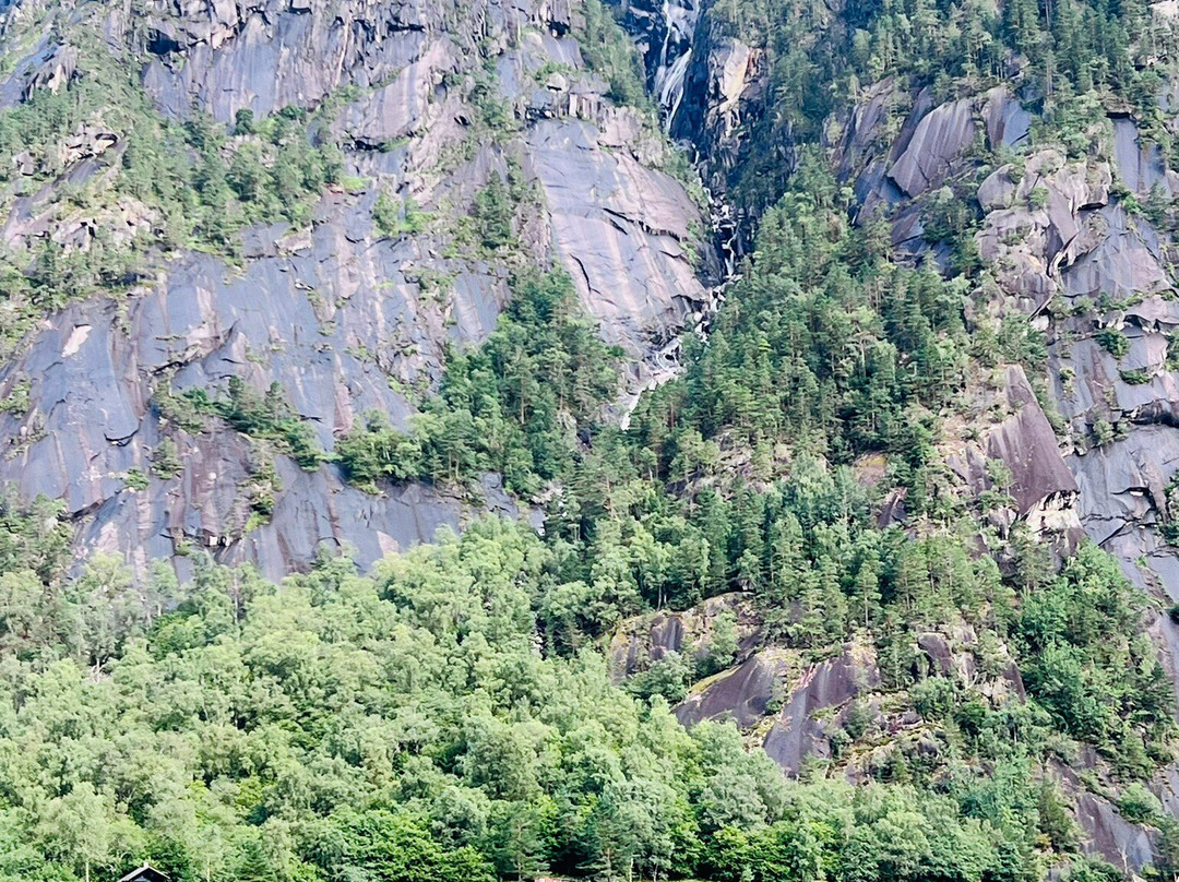 Hardanger Fjordsafari-Eidfjord必去景点
