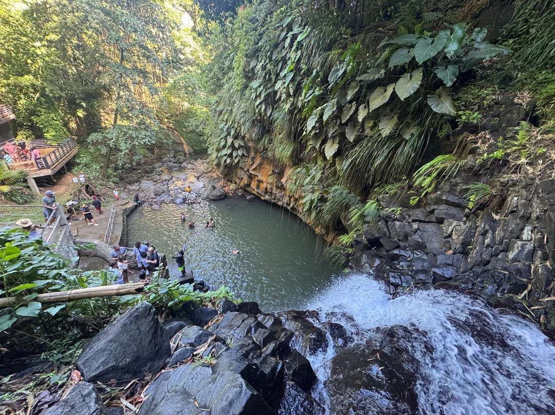 A Sweet Grenada Tours & Taxi-格林纳达必去景点