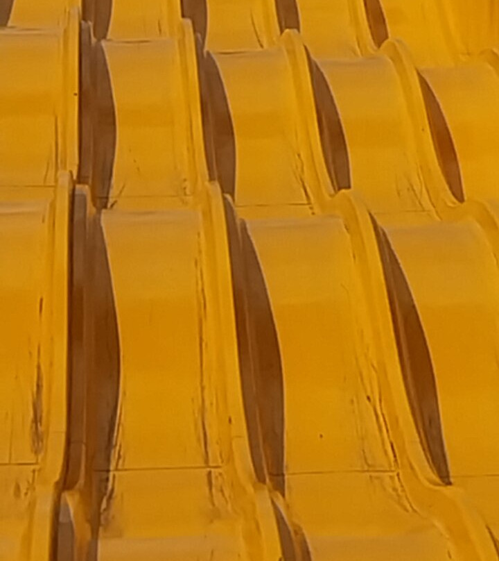 Drievliet Family Park-海牙必去景点