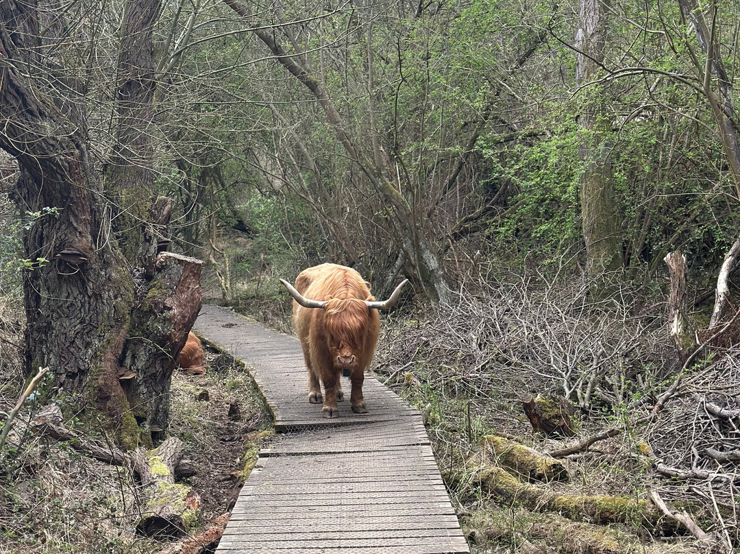 Twywell Hills and Dales-凯特林必去景点