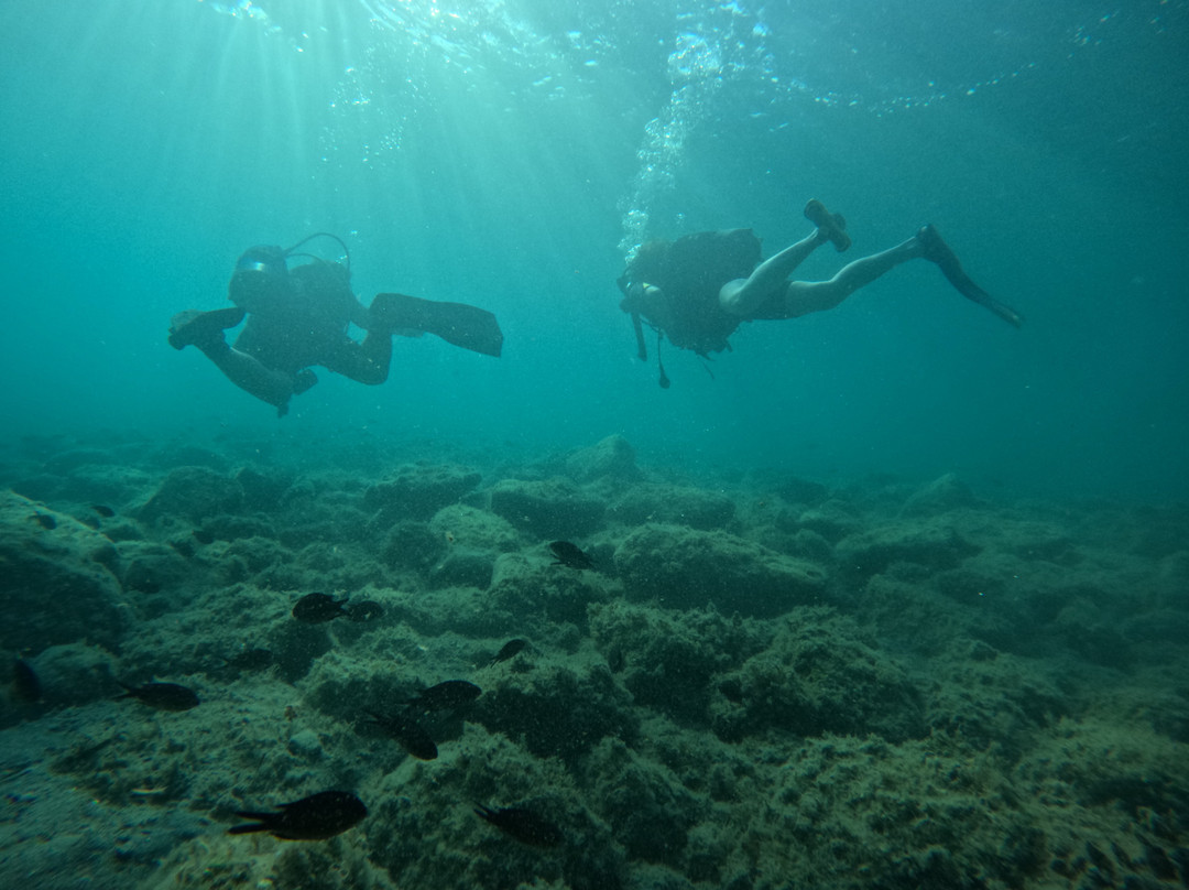 Argonauta Diving Resort-Rovies必去景点