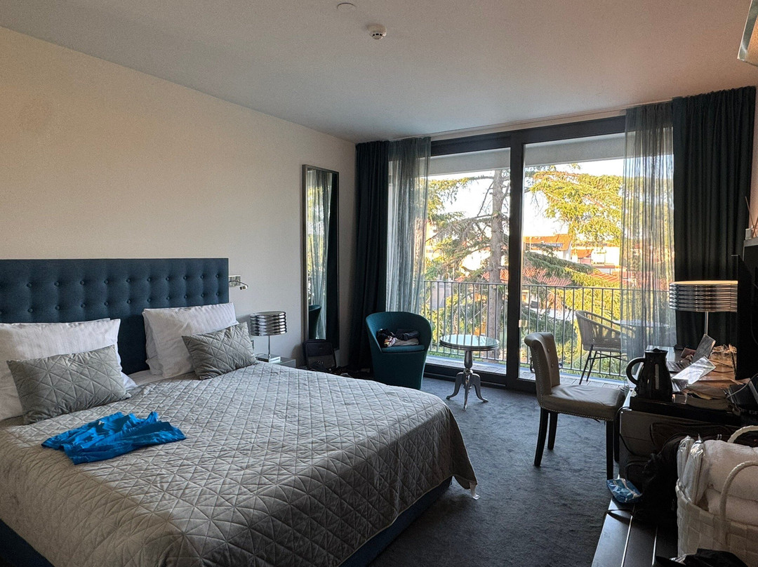 Hotel Arupinum主图