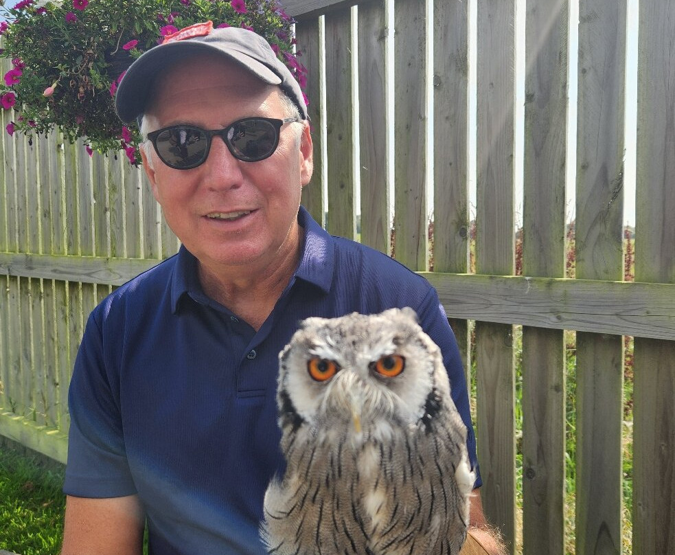 Hawkeye School of Falconry-基尔肯尼必去景点