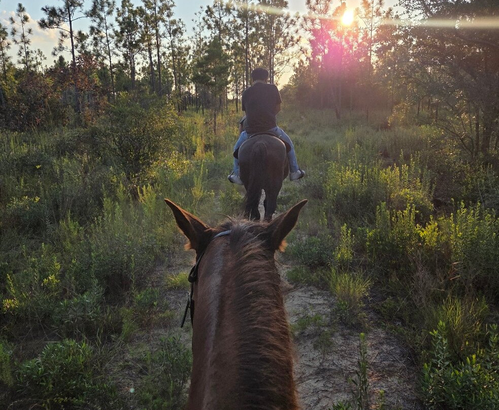 Sunshine Riding Trails - Day Tours-巴拿马城海滩必去景点
