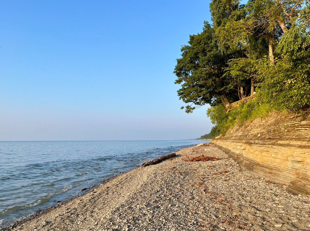 Pines Motel On Lake Erie主图