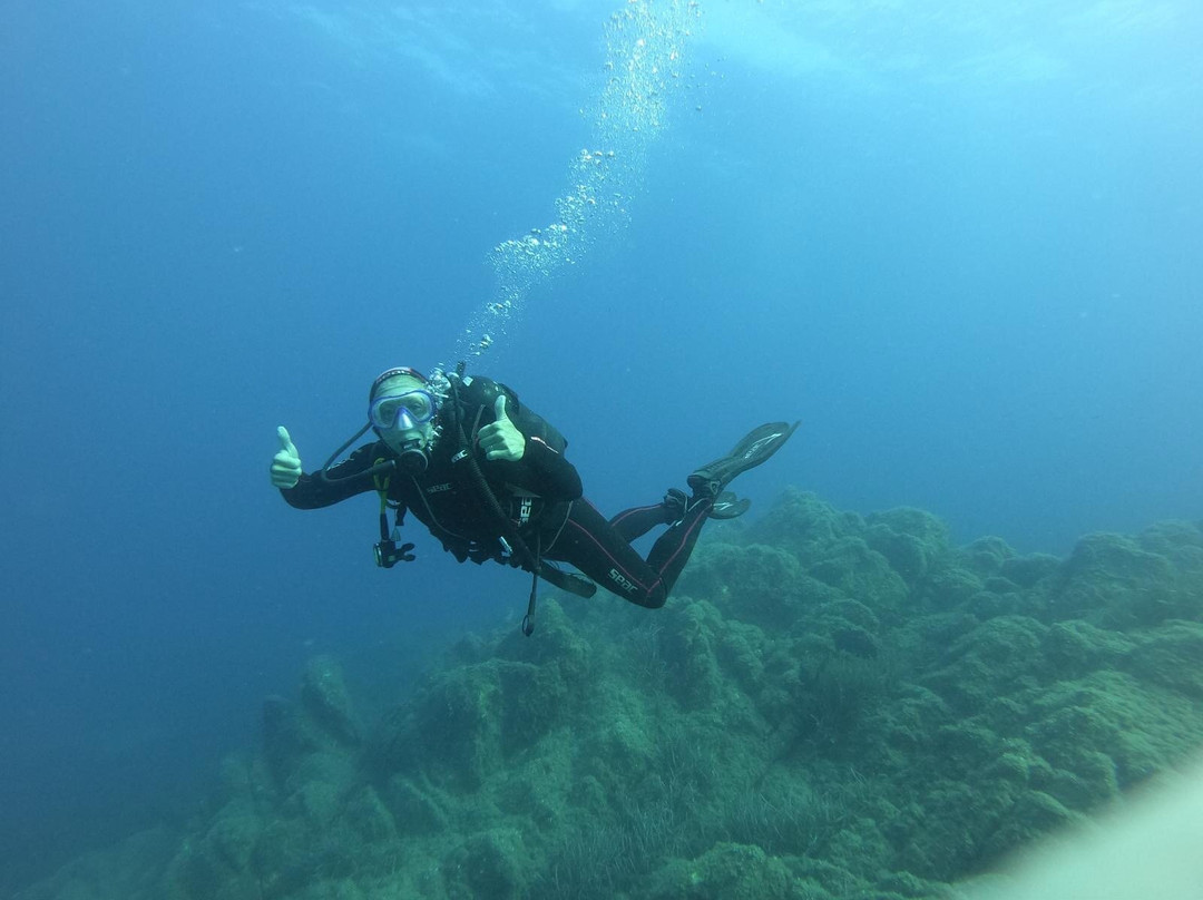 Anthias Diving-Cannigione必去景点
