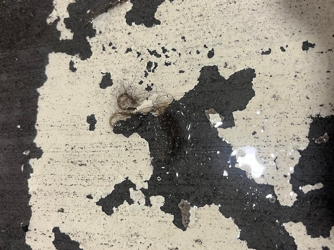 Ramada Limited Merritt主图