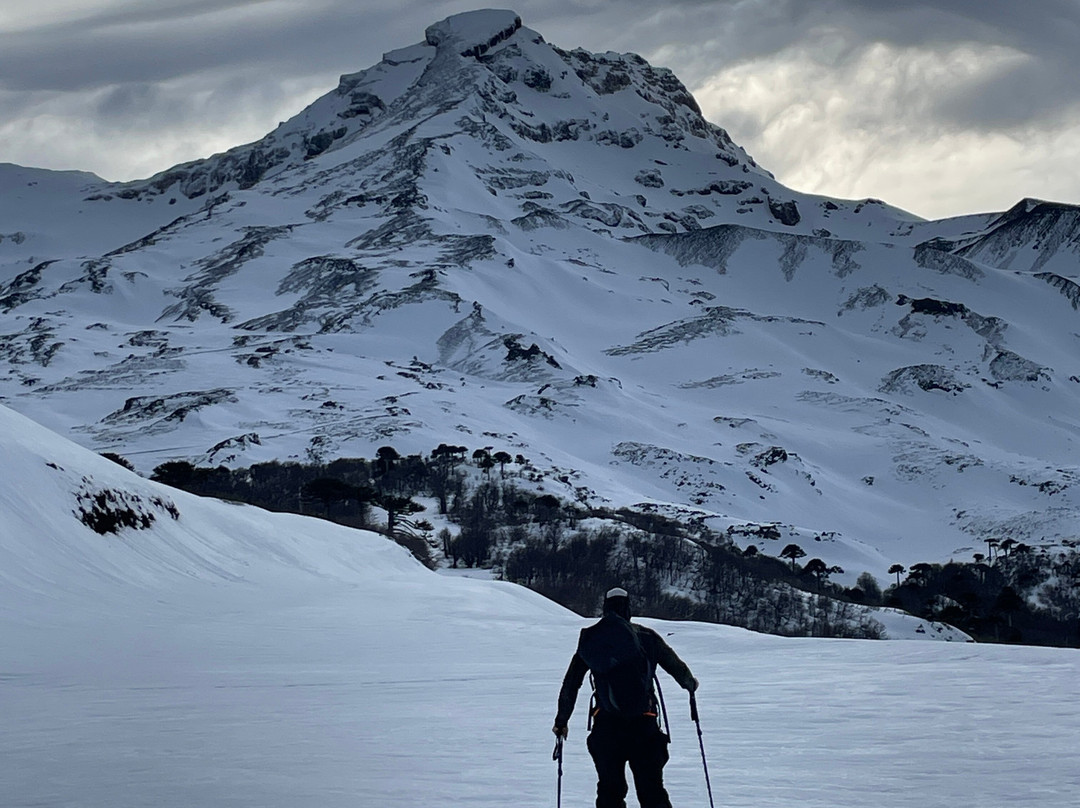APEX Backcountry Guides-Malalcahuello必去景点