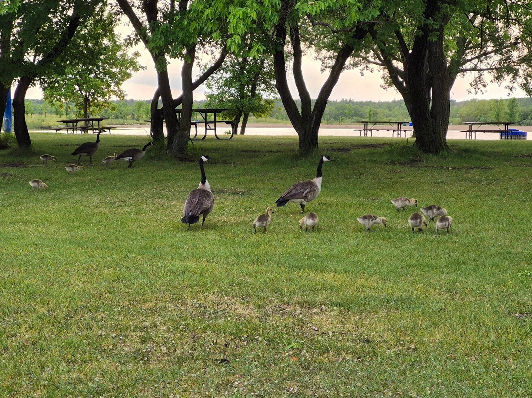 Birds Hill Provincial Park-曼尼托巴省必去景点