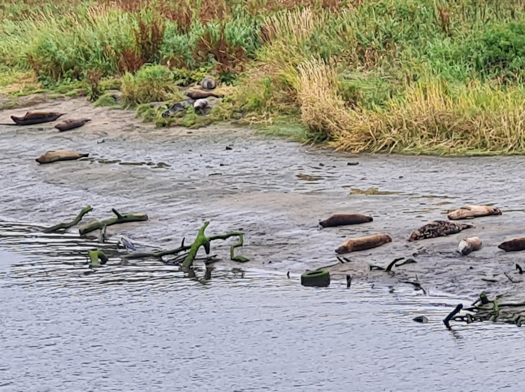 Donmouth Local Nature Reserve-阿伯丁必去景点