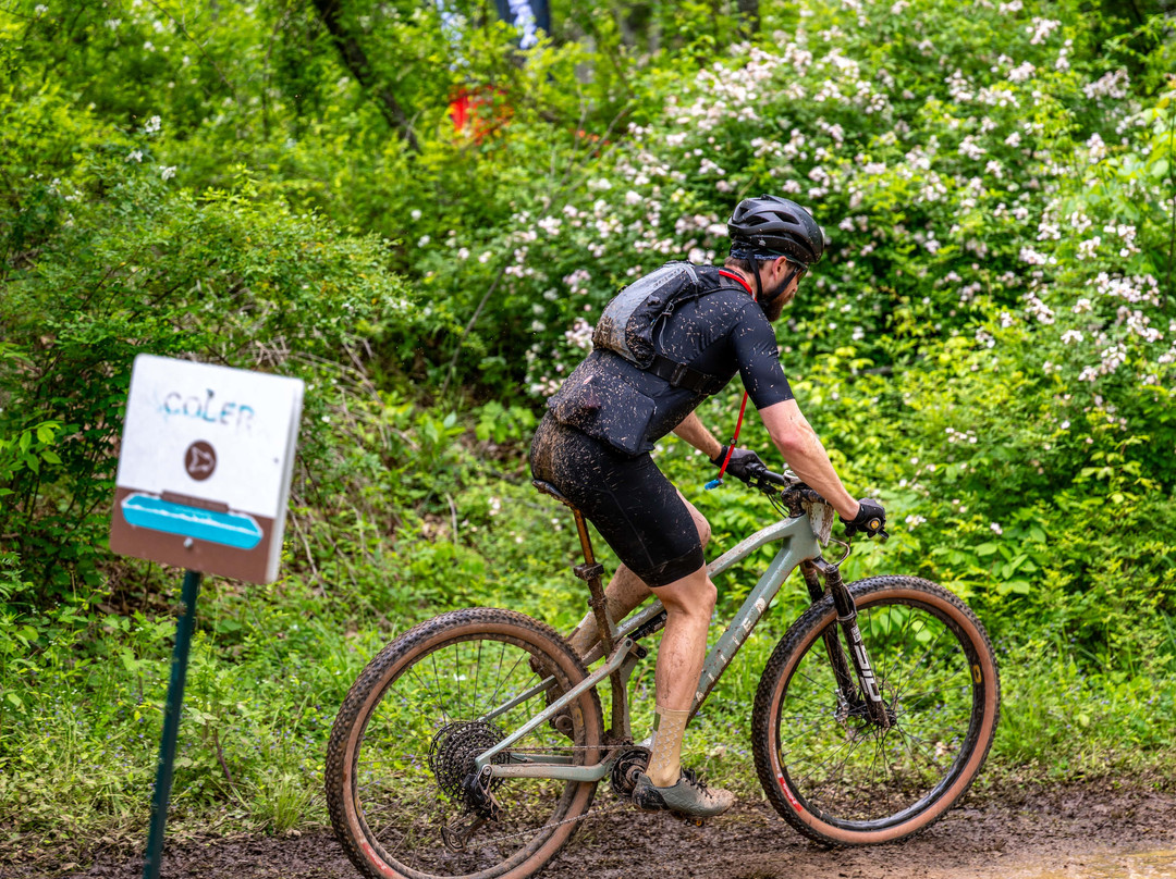 Coler Mountain Bike Preserve-本顿维尔必去景点