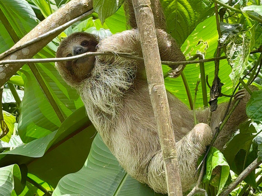 Orly Tours-塔马林多必去景点