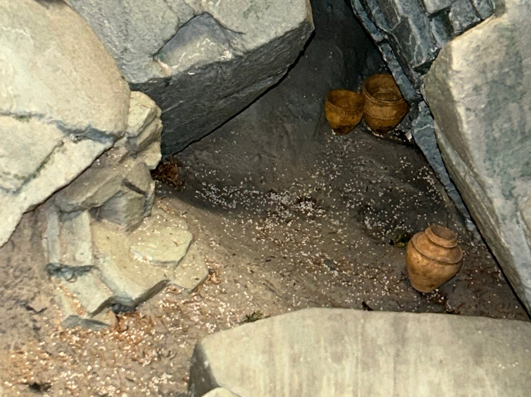 Tokushima Municipal Archaeology Museum-德岛市必去景点