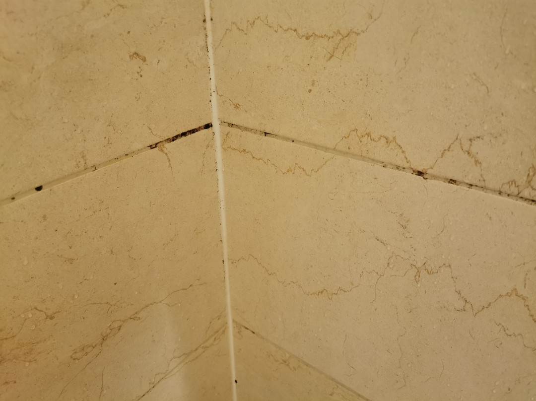 B&B HOTEL Brive-la-Gaillarde主图