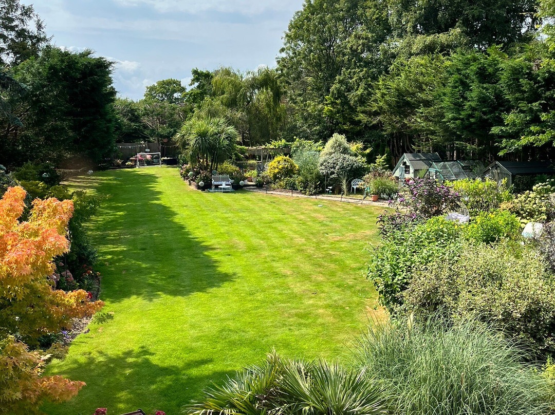 Beechwood B and B主图