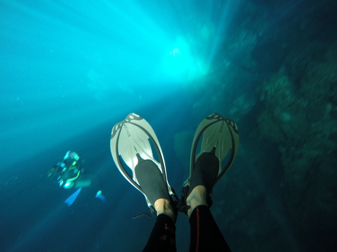 Happy Manta Cenote Diving-普拉亚德尔卡曼必去景点