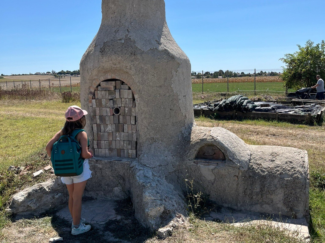 Musée et Site gallo-Romains du Fâ-Barzan必去景点
